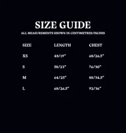 Warner Bros Kids Ravenclaw Quidditch Team Captain T-Shirt -Warner Bros 01 Attribute t shirt 5863af57 8283 48b8 996a 625fdbaf0ddc