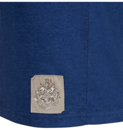 Warner Bros Ravenclaw Quidditch Team Captain T-shirt -Warner Bros 1275030 3