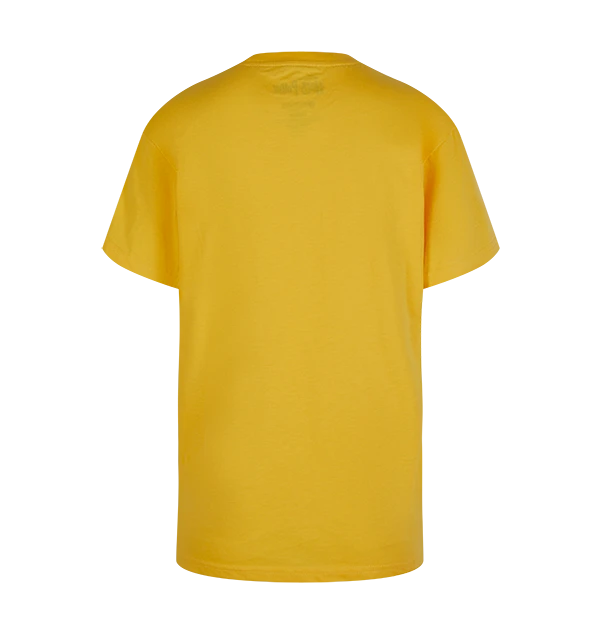 Warner Bros Kids Hufflepuff Quidditch Team Captain T-Shirt 2 Warner Bros Kids Hufflepuff Quidditch Team Captain T-Shirt - Image 2