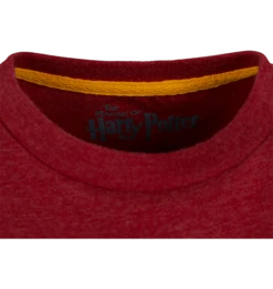 Warner Bros Kids Gryffindor Quidditch Team Captain T-Shirt -Warner Bros 1275734 3