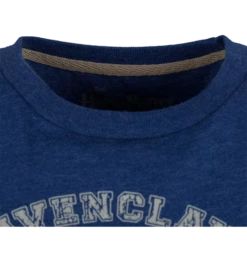 Warner Bros Kids Ravenclaw Quidditch Team Captain T-Shirt -Warner Bros 1275739 3