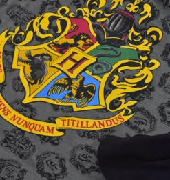 Warner Bros Hogwarts Sleepshirt -Warner Bros 1307154z