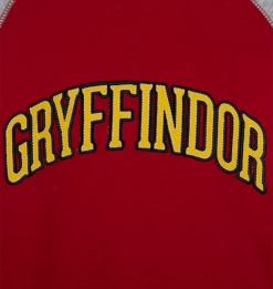 Warner Bros Kids Gryffindor Sweatshirt -Warner Bros 1329375 4