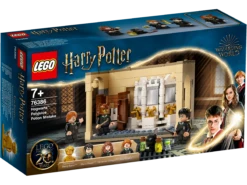 Warner Bros Hogwarts Polyjuice Potion Mistake LEGO