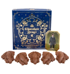 Warner Bros Harry Potter Bear And Chocolate Frog Box 7 Warner Bros Harry Potter Bear And Chocolate Frog Box -Warner Bros ChocFrogSelectionBox