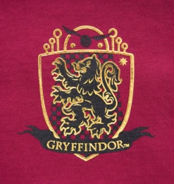 Warner Bros Gryffindor Adult Spirit Jersey -Warner Bros Gryffindor FLC