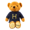 Warner Bros 'H' For Harry Jumper Bear
