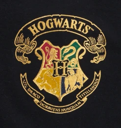 Warner Bros Hogwarts Adult Spirit Jersey -Warner Bros Hogwarts FLC1