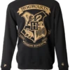 Warner Bros Hogwarts Striped Sleeve Sweatshirt