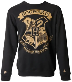 Warner Bros Hogwarts Striped Sleeve Sweatshirt
