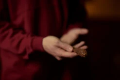 Warner Bros The Gryffindor Mascot Wand -Warner Bros Optimized WBST HPNY 14.09.20 hires 3x2 1787