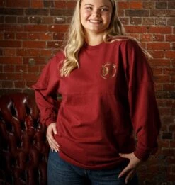 Warner Bros Hogwarts Express Spirit Jersey -Warner Bros Platform934 product HESpiritJersey2