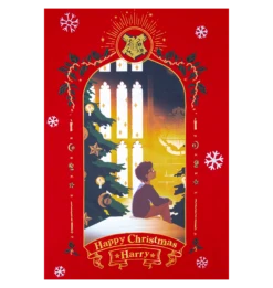 Warner Bros -Warner Bros XMAS23 ProductHarryShirt2