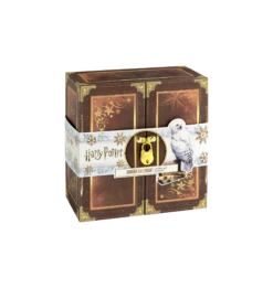 Warner Bros Harry Potter Potions Advent Calendar -Warner Bros XMAS23 Product CaratAC2