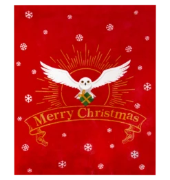 Warner Bros Hedwig Christmas Blanket