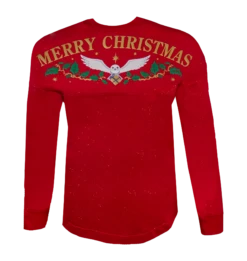 Warner Bros Christmas Spirit Jersey -Warner Bros XMAS23 Product SJ3