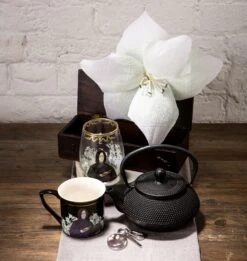 Warner Bros Yume Severus Snape Gift Set