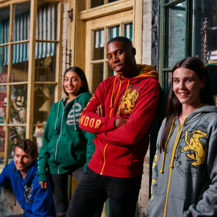 Warner Bros Ravenclaw Hooded Sweatshirt 5 Warner Bros Ravenclaw Hooded Sweatshirt - Image 5