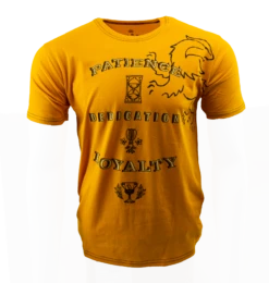 Warner Bros Hufflepuff Attribute T-Shirt
