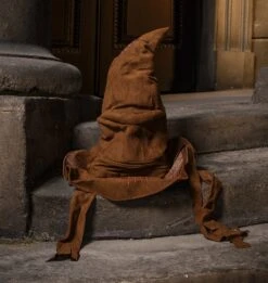 Warner Bros Animated Sorting Hat