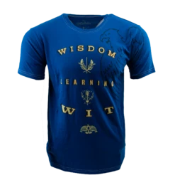 Warner Bros Ravenclaw Attribute T-Shirt