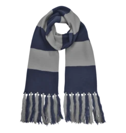Warner Bros Ravenclaw Broad Stripe Scarf
