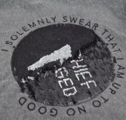 Warner Bros Kids Marauder's Map Sequin Reverse T-shirt -Warner Bros swearteezhalfwaythru